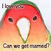I love you