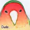 Dude.
