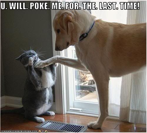 Forum Image: http://i841.photobucket.com/albums/zz331/vampireempress69/funny-pictures-cat-will-not-be-poke.jpg