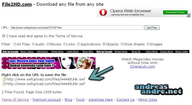 download flash "download flash"