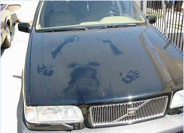 [Afbeelding: 6a013484cec6d9970c013484cee925970c-800wi.jpg]