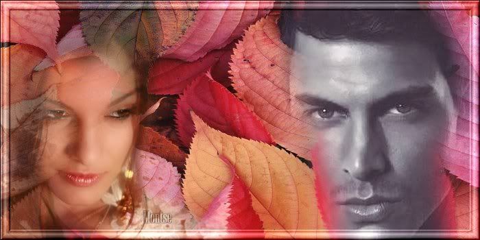 187.jpg picture by MONTSE_028