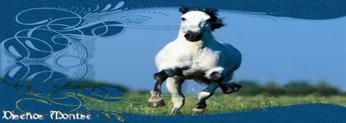 CABALLO4ABAJO.jpg picture by MONTSE_028