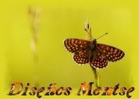 ZZMARIPOSASELLO-1.jpg picture by MONTSE_028
