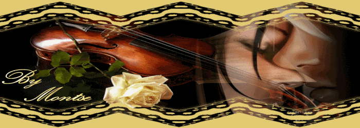 FLORVIOLINENPAREJAABAJOSELLO.gif picture by MONTSE_028