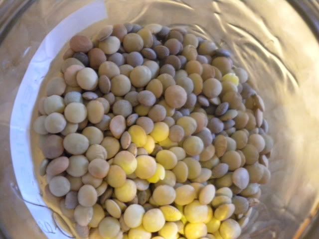 The Best Lentils Ever | I'm an Eating Machine!