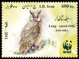 Iranian Owl