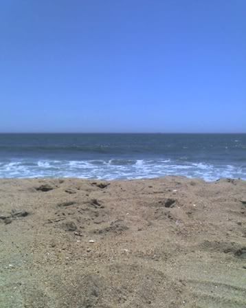 sunset beach Pictures, Images and Photos