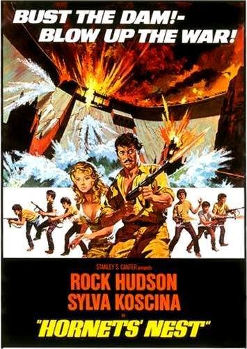 Hornets'.Nest.1970.Poster
