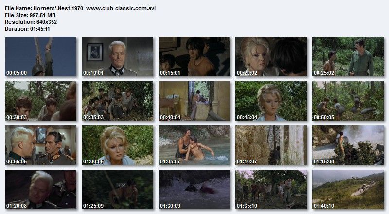 Hornets'.Nest.1970.Screen