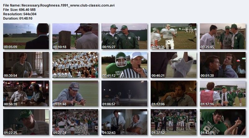 Necessary.Roughness.1991.Screen