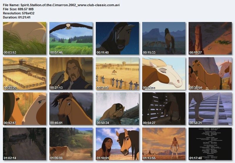 Spirit.Stallion.of.the.Cimarron.2002.Screen