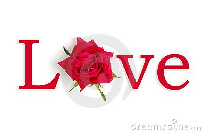 rose Pictures, Images and Photos