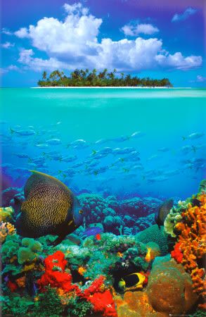 beautiful island photo: island tropical-underwater.jpg