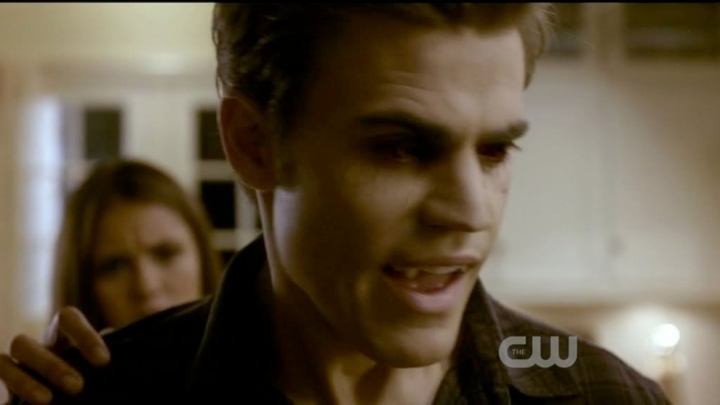 Stefan Salvatore Pictures, Images & Photos Photobucket