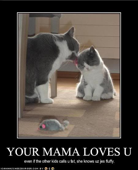 funny-pictures-cat-has-loving-mothe.jpg picture by ashliemahlen