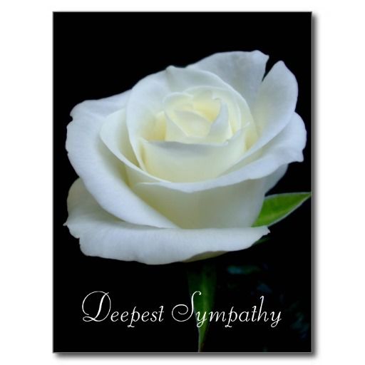 Picture:Click to zoom Picture:Click to zoom