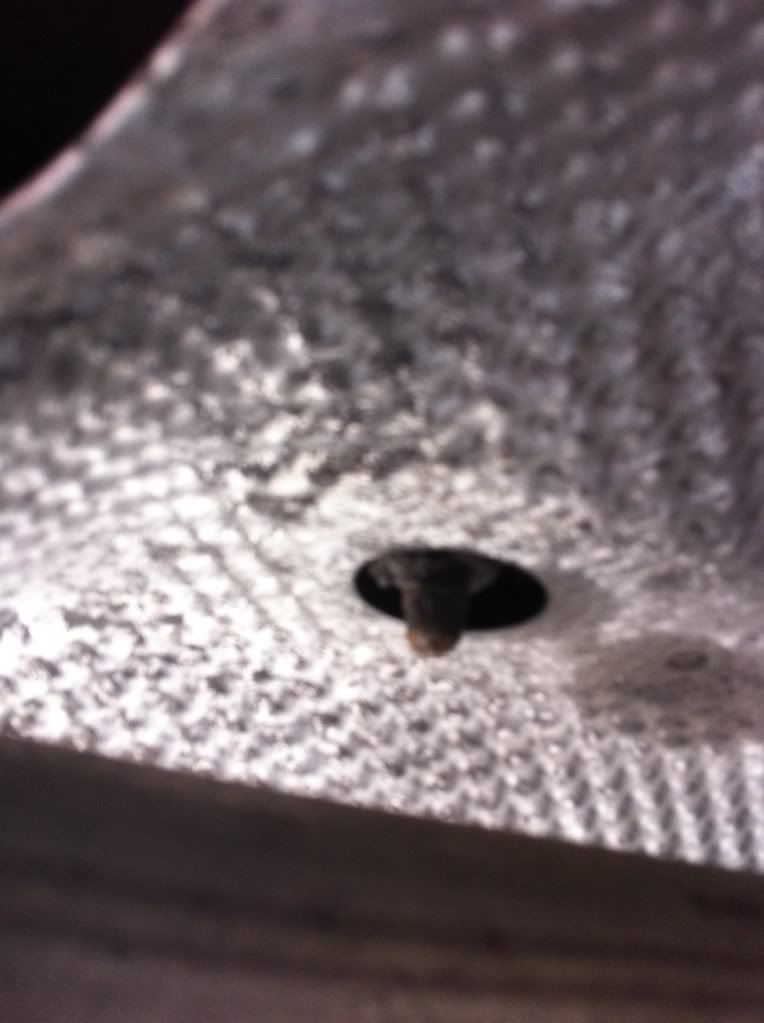 Heatshield1.jpg