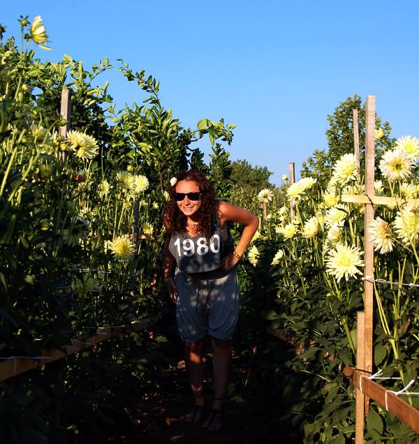 Sicily, Adele, Joanna, Gould, Sunflowers, Fashion, Blog, 1980, TOPSHOP Sicily, Adele, Joanna, Gould, Sunflowers, Fashion, Blog, 1980, TOPSHOP