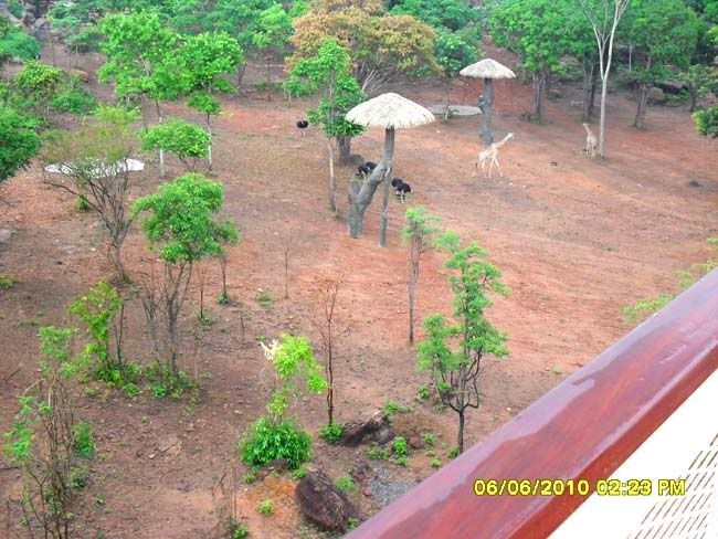 ไอชุมแพ-ไปปั่นจักรยานที่สวนสัตว์เขาสวนกวางมาครับ ชมผาหินอันงดงาม-12