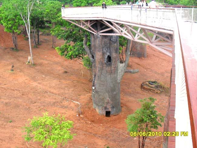 ไอชุมแพ-ไปปั่นจักรยานที่สวนสัตว์เขาสวนกวางมาครับ ชมผาหินอันงดงาม-13