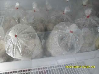 ไอชุมแพ-DM แหนมเนือง สดสะอาดรสชาติดี อาหาร-ของฝาก-10