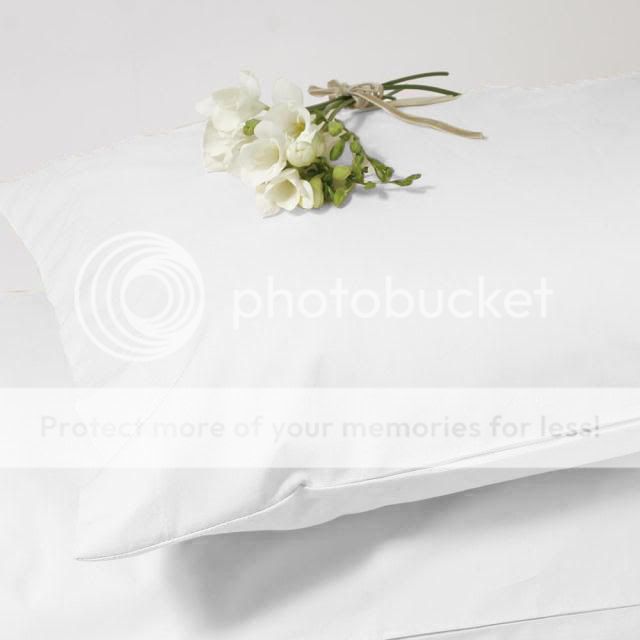 white pillow photo: white 2xWhite.jpg
