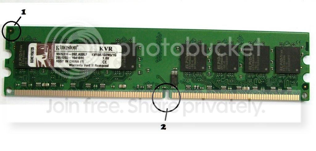 DDr2_zpsd36cd1e8.jpg