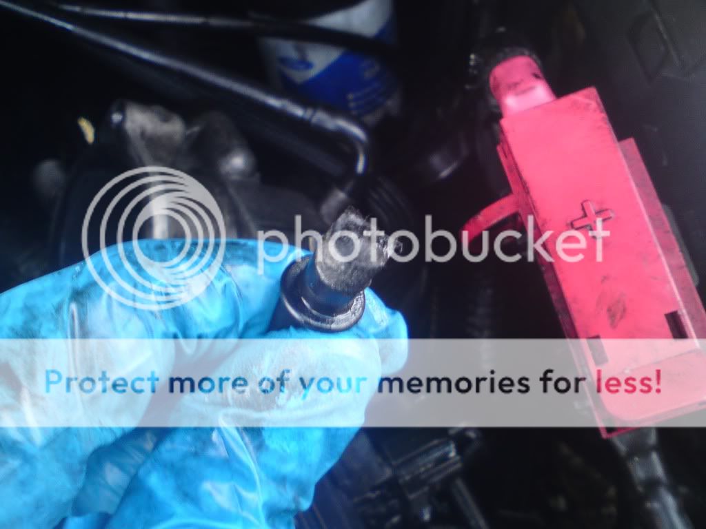 Ford Transit Forum • View topic very bad oil leak